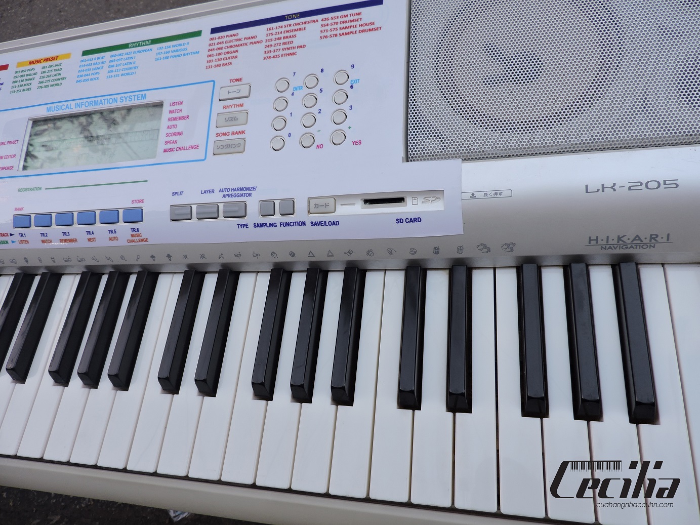 casio_lk205