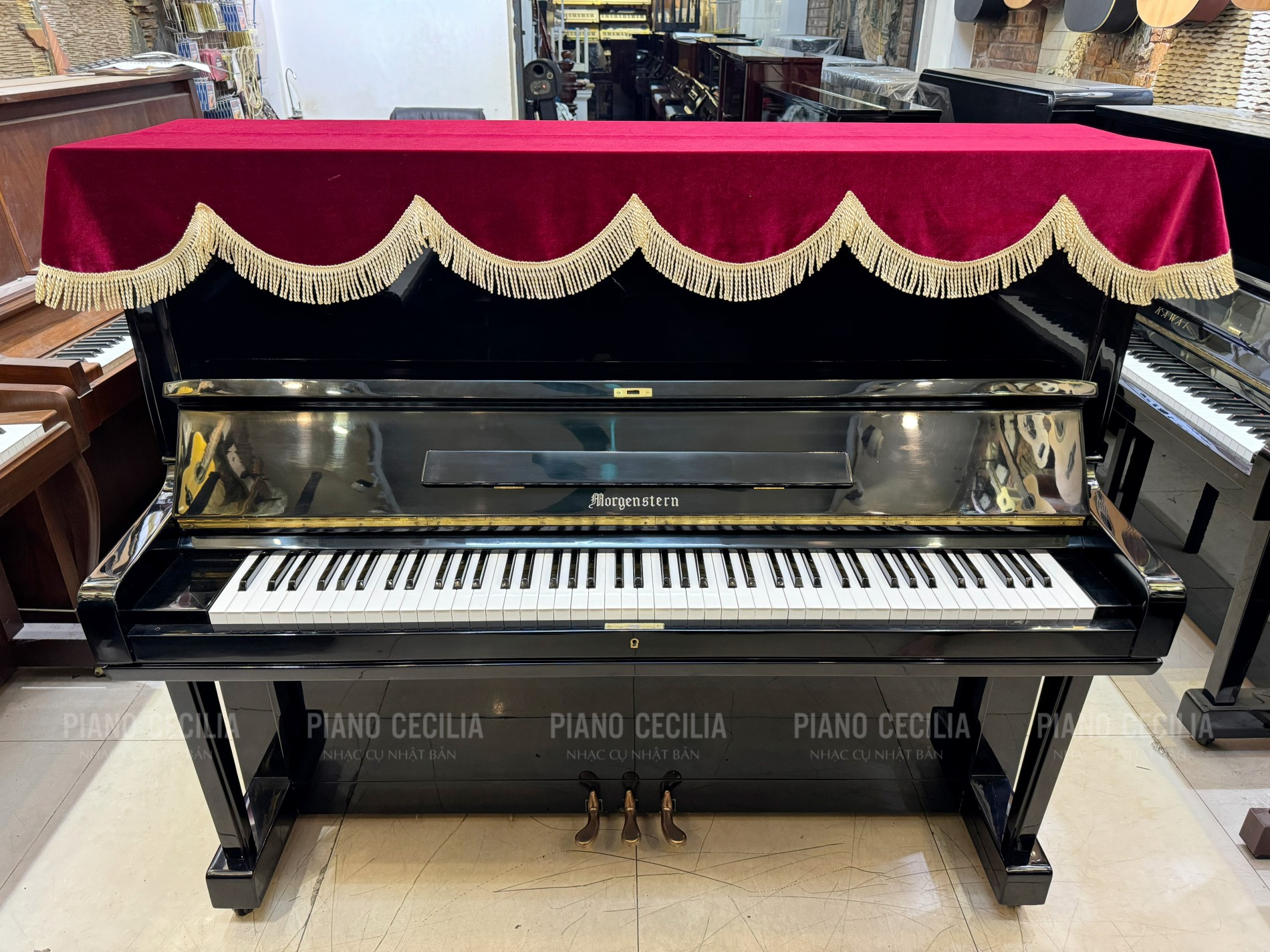 dan_piano_co_gia_re_morgenstern