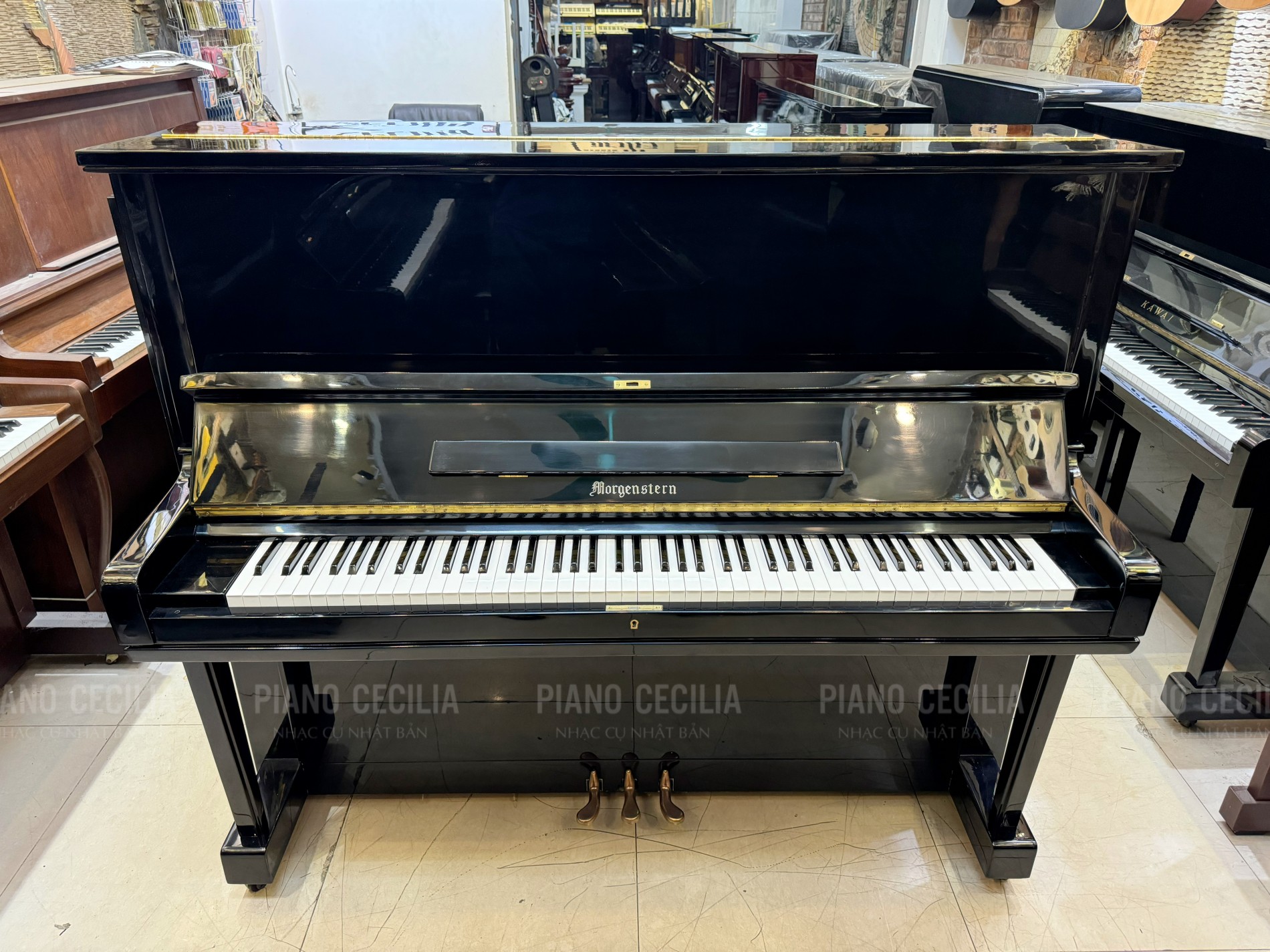 dan_piano_co_gia_re_morgenstern_3