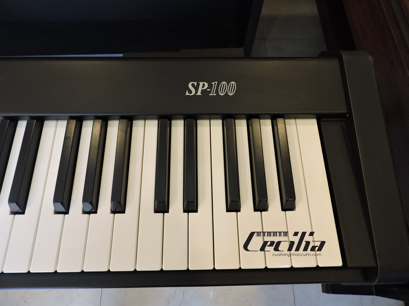 dan_piano_dien_korg_sp1002