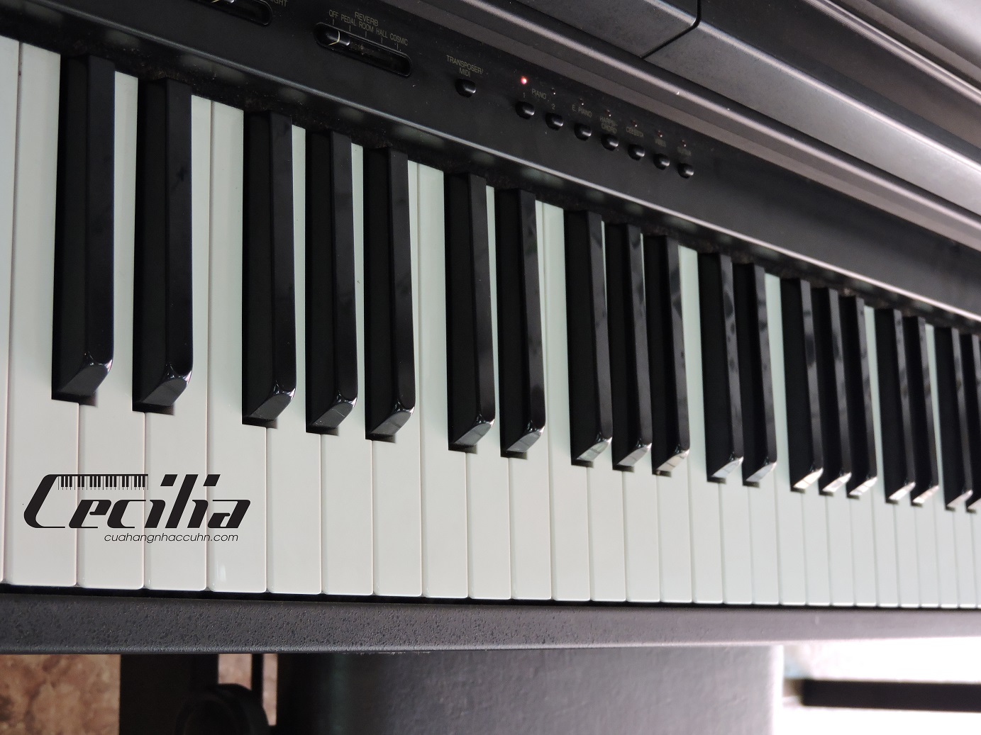 dan_piano_yamaha_clp_550_3