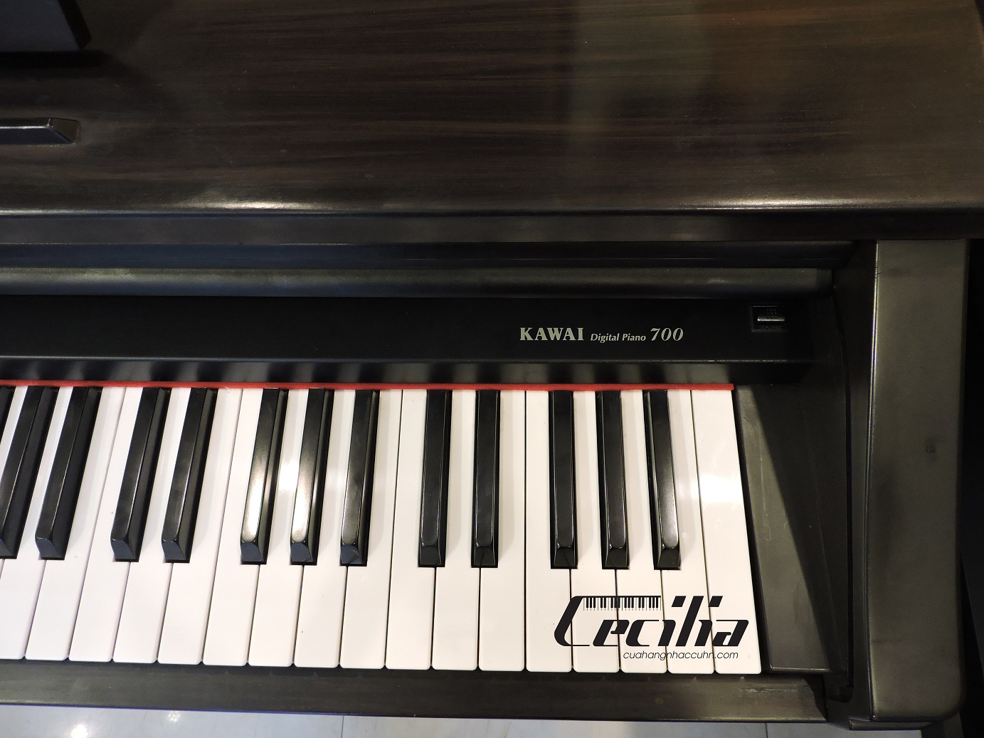 danpianopw700