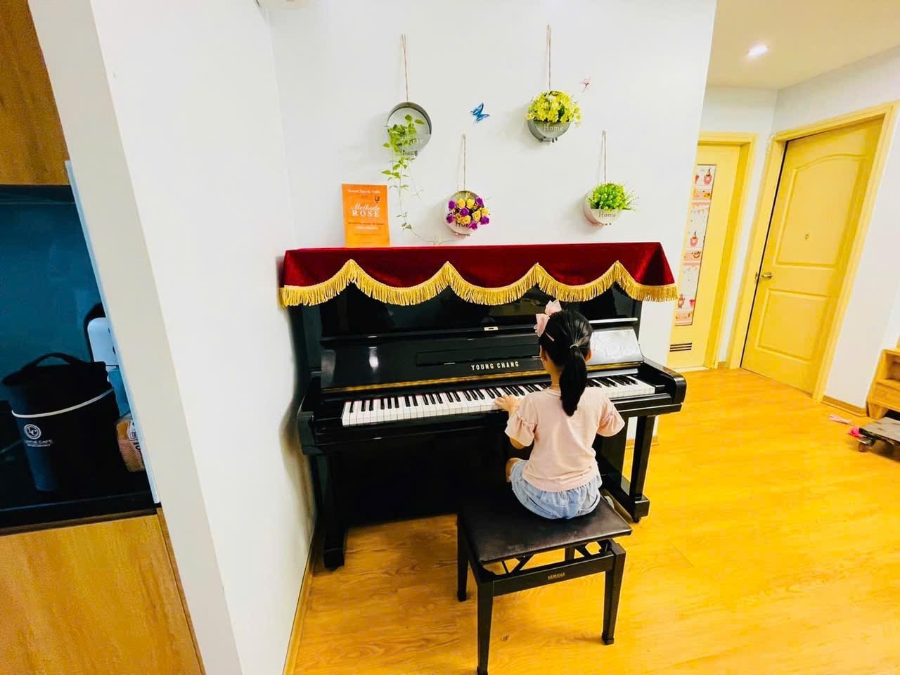 CHO THUE PIANO CƠ GIA RE BAC NINH
