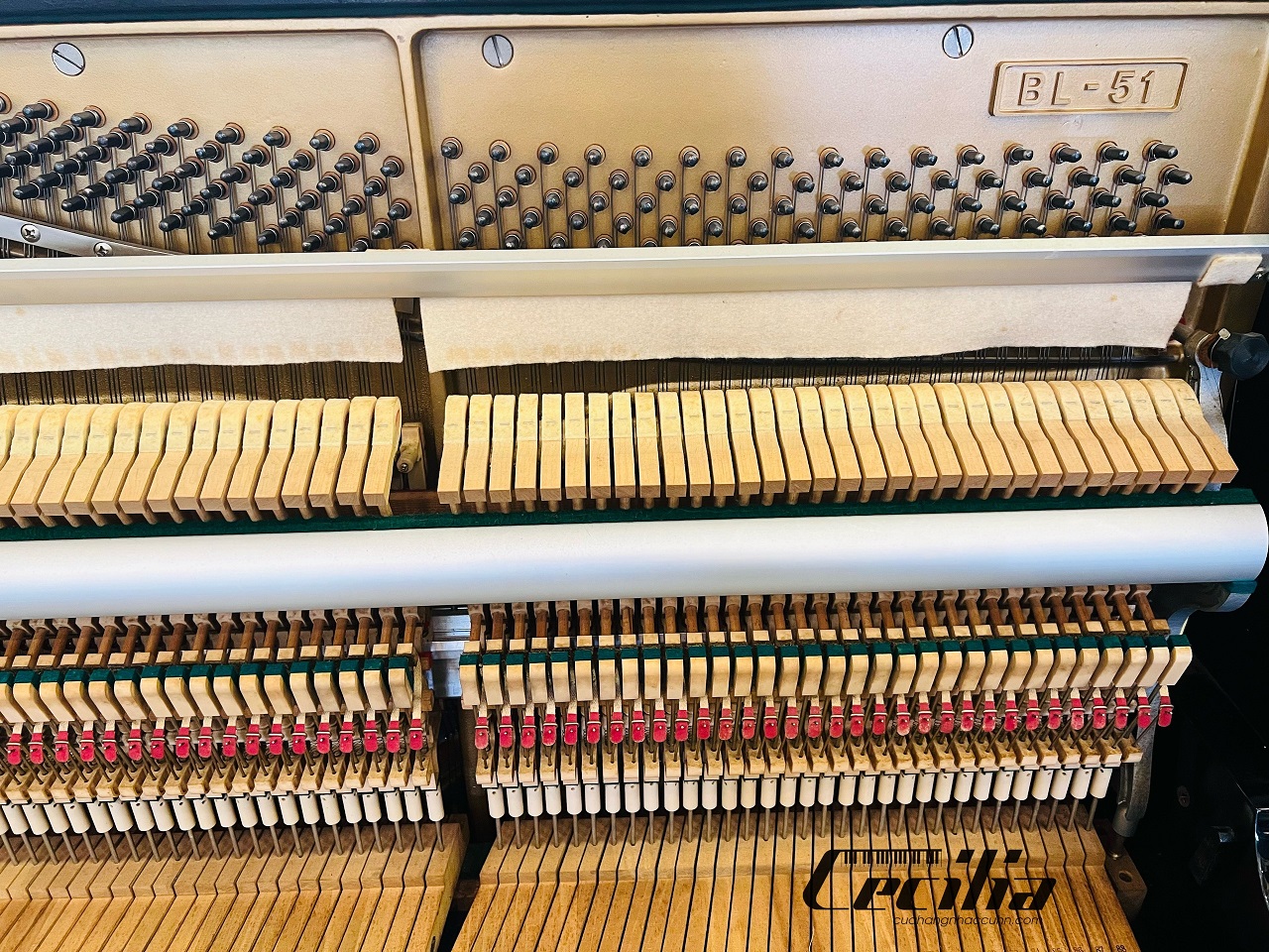 kawai-bl51-2