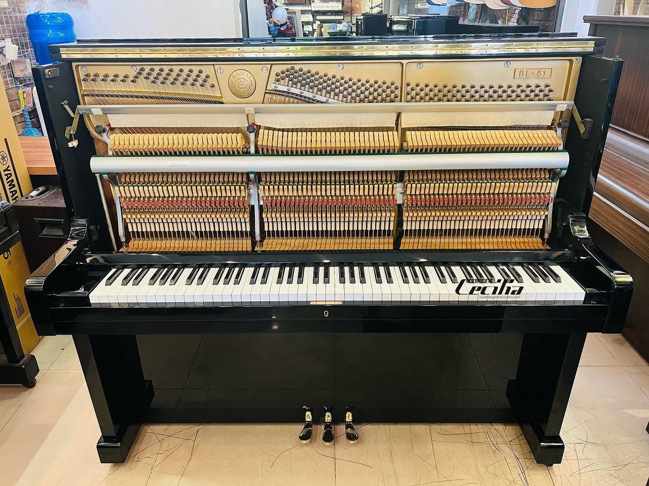 kawai-bl51-3