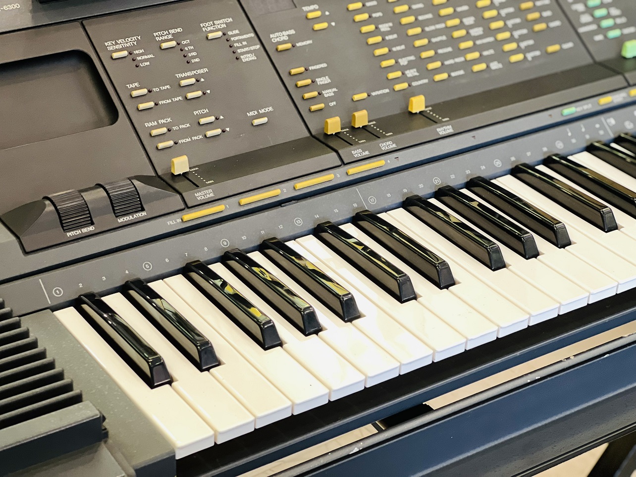 organ-yamaha-psr6300-3