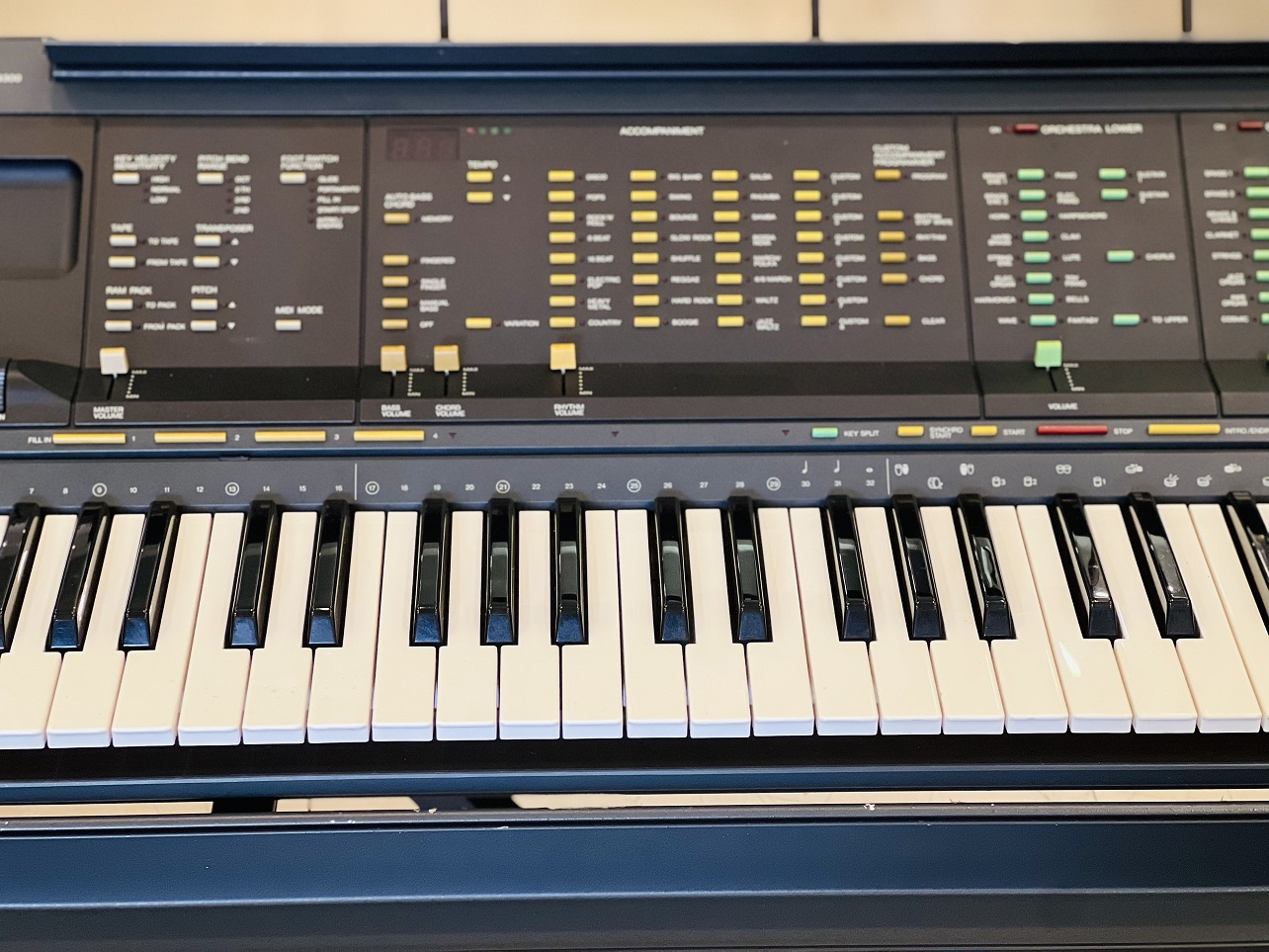 organ-yamaha-psr6300-4