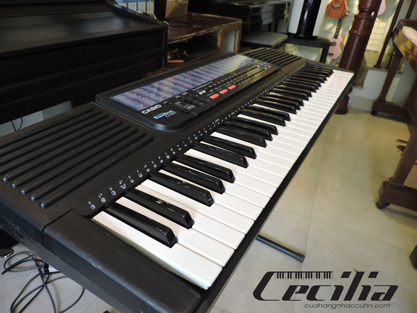 organ_ct637