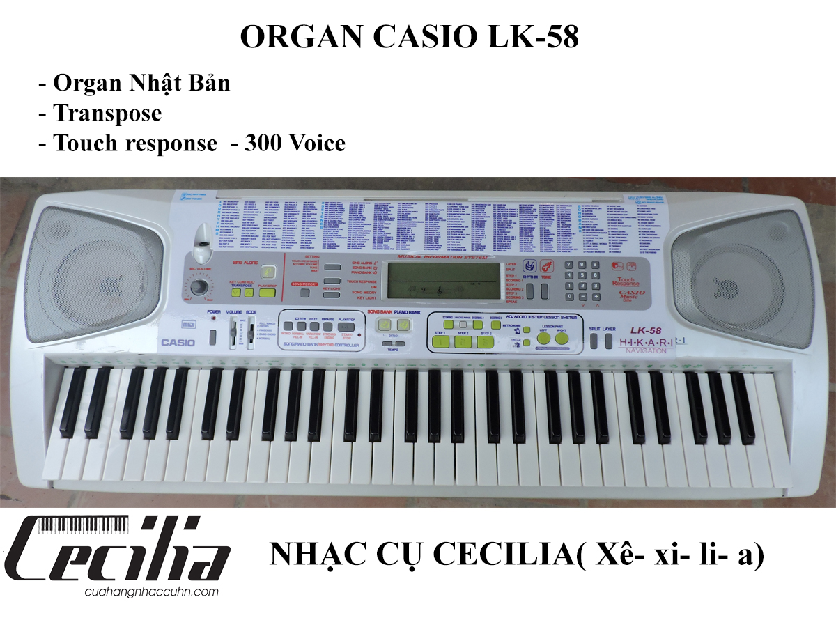 orrgan_cassio_lk58