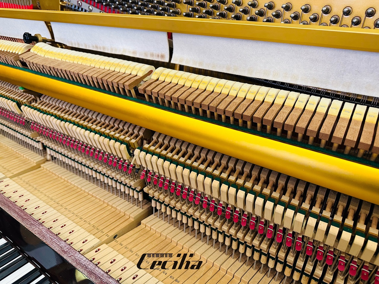 piano-co-wagner-3