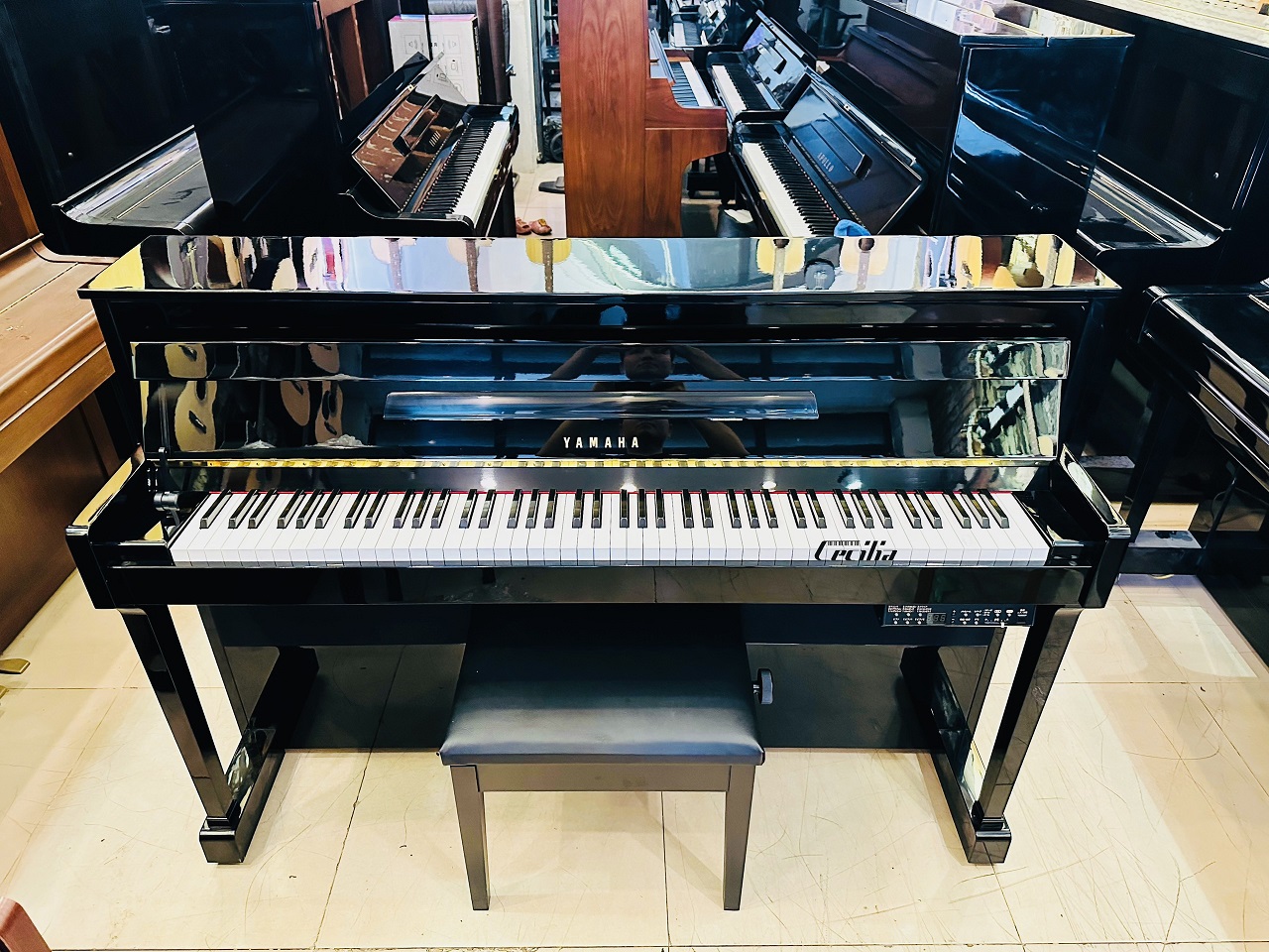 piano-dup20pe-1