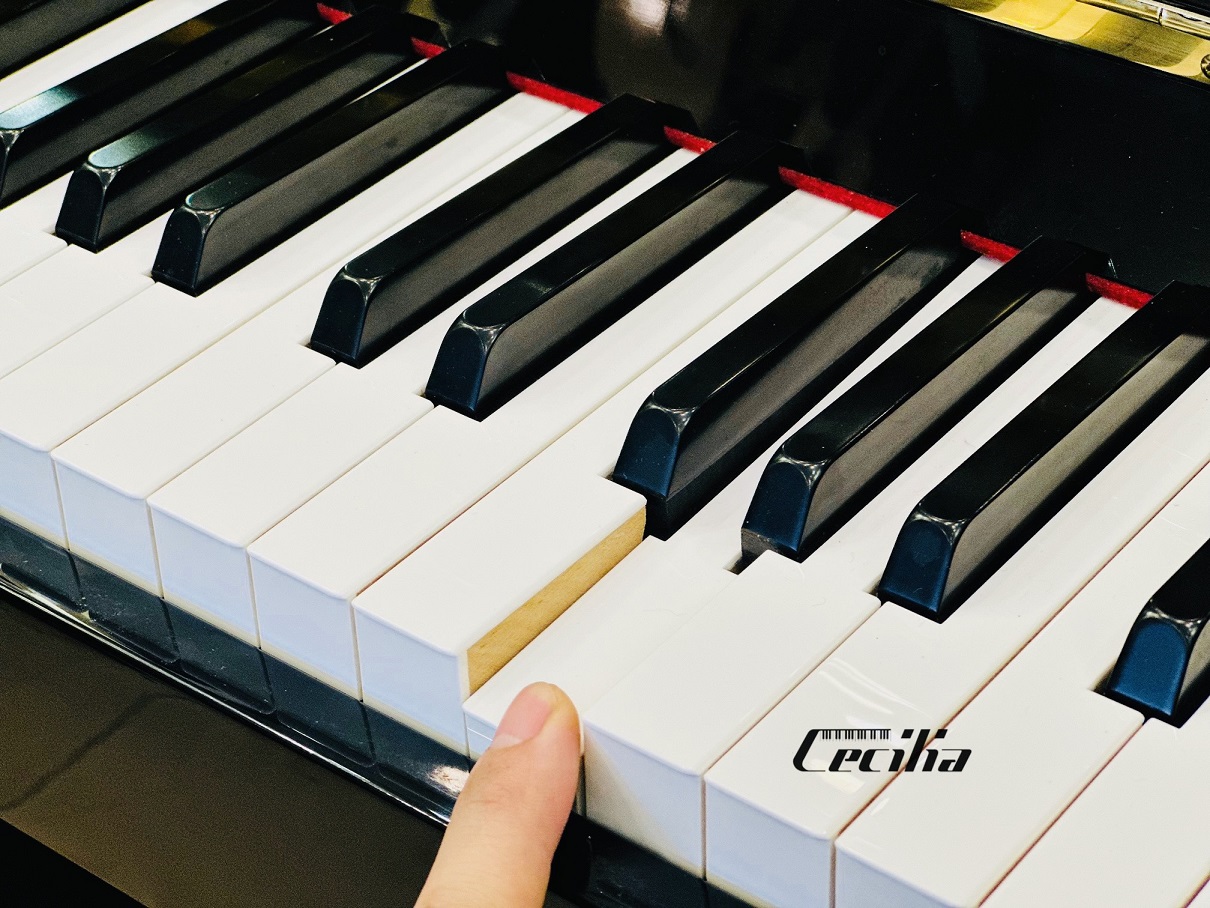 piano-dup20pe-3