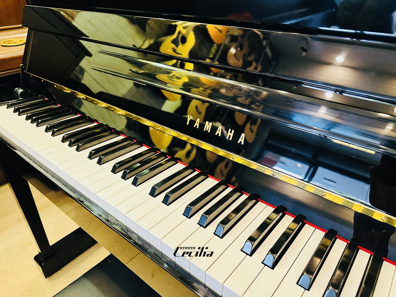 piano-dup20pe-4