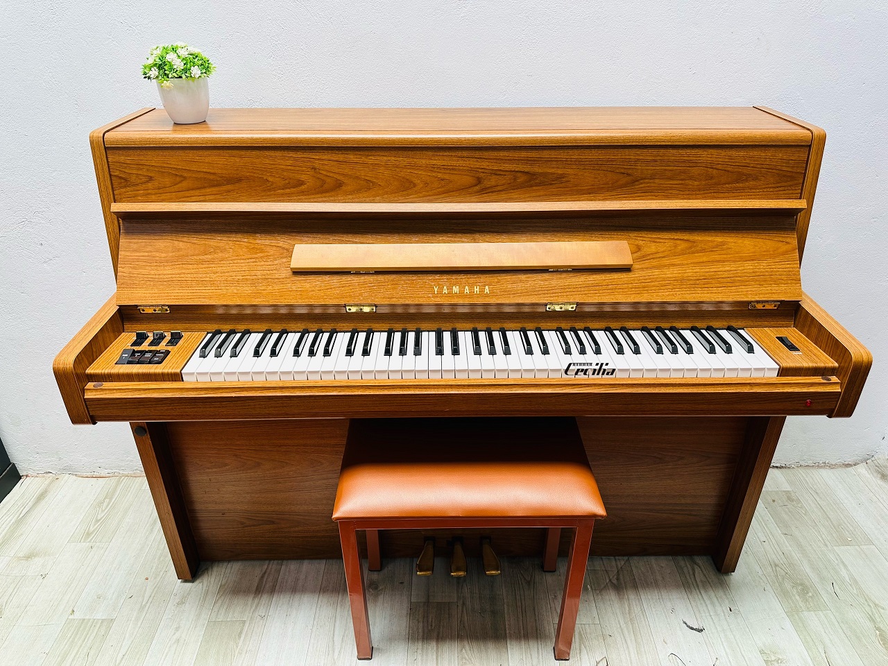 piano-gia-co-1
