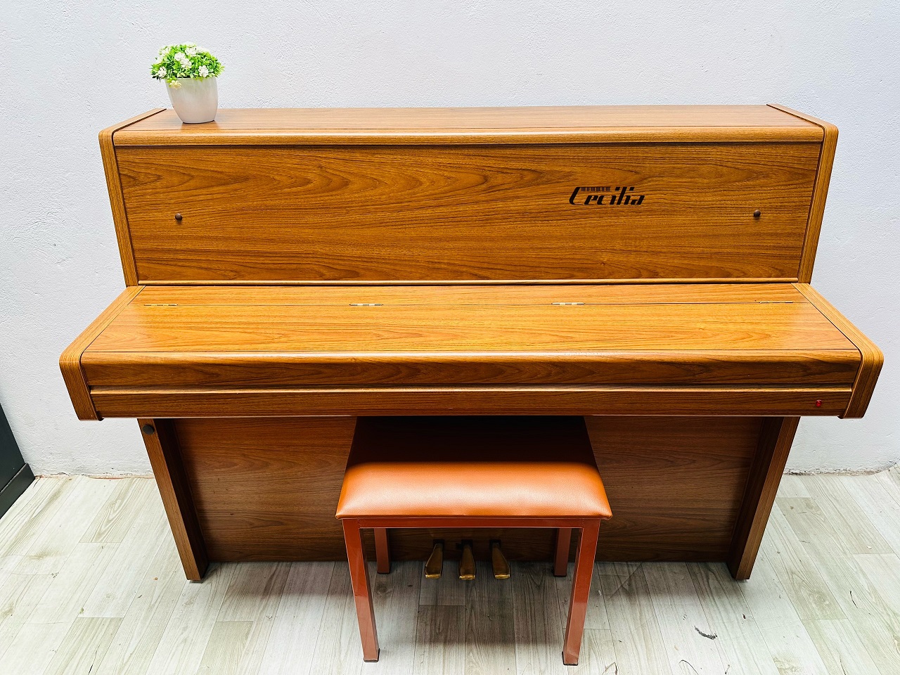 piano-gia-co-2