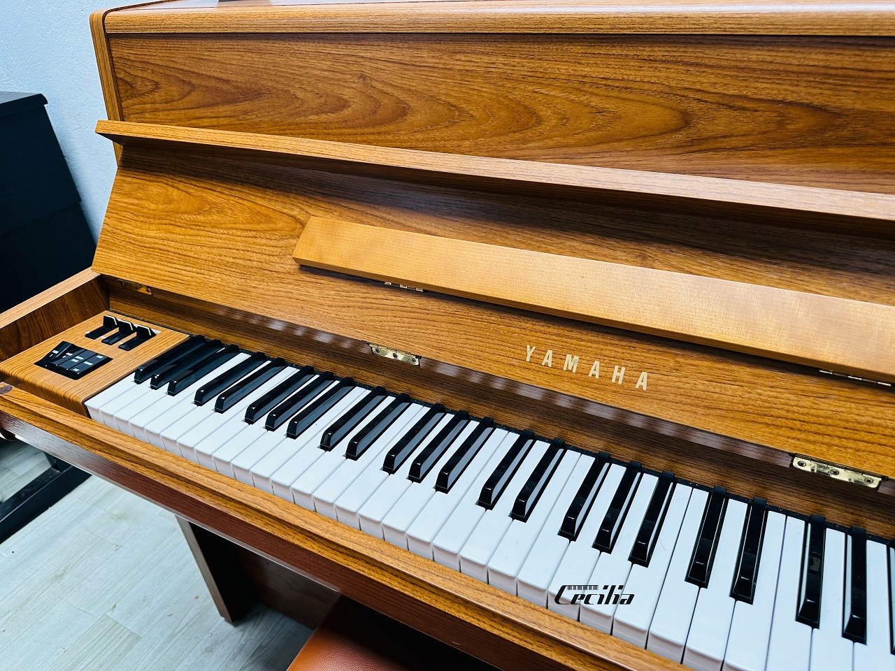 piano-gia-co-3