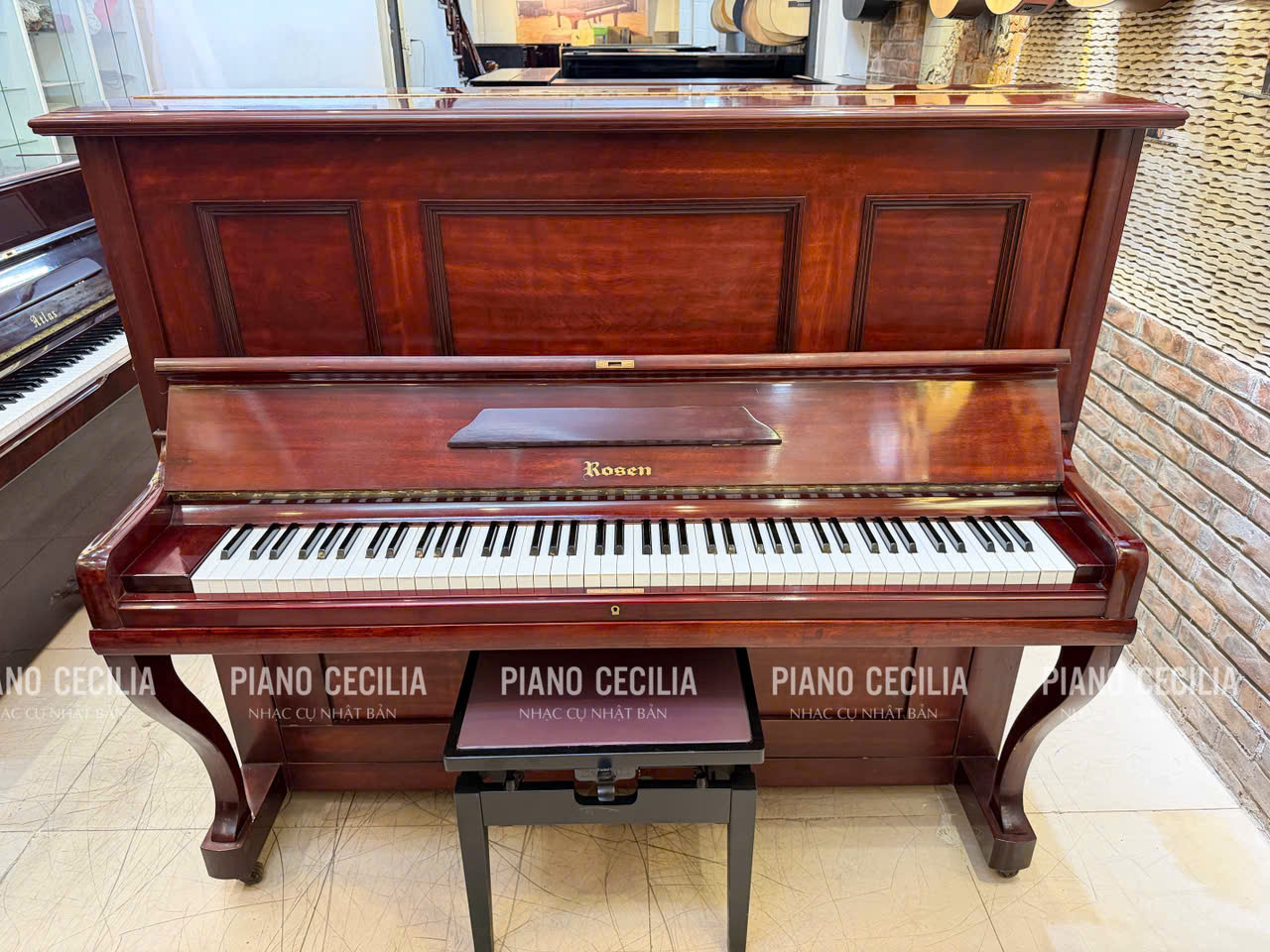 piano_co_rosen_gia_re_4