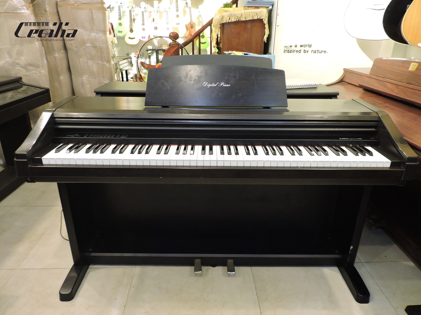 piano_dien_kawai_pw200_1