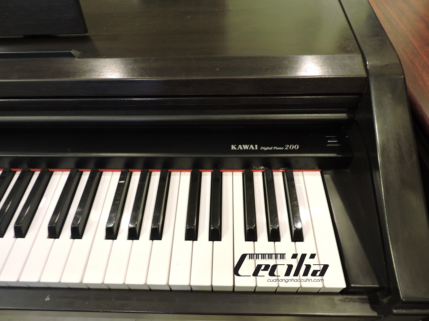 piano_dien_kawai_pw200_2