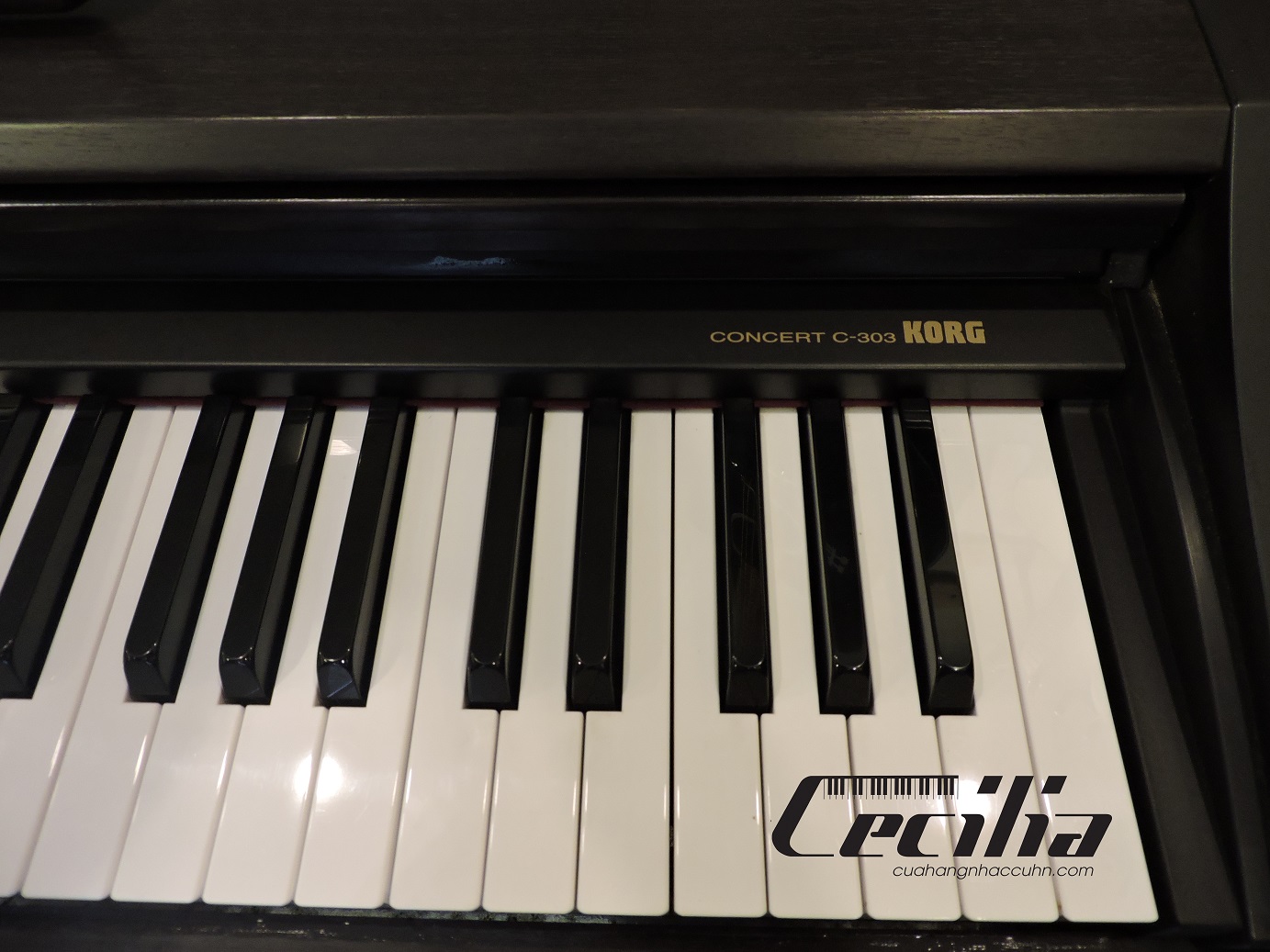 piano_dien_korg_c303_3