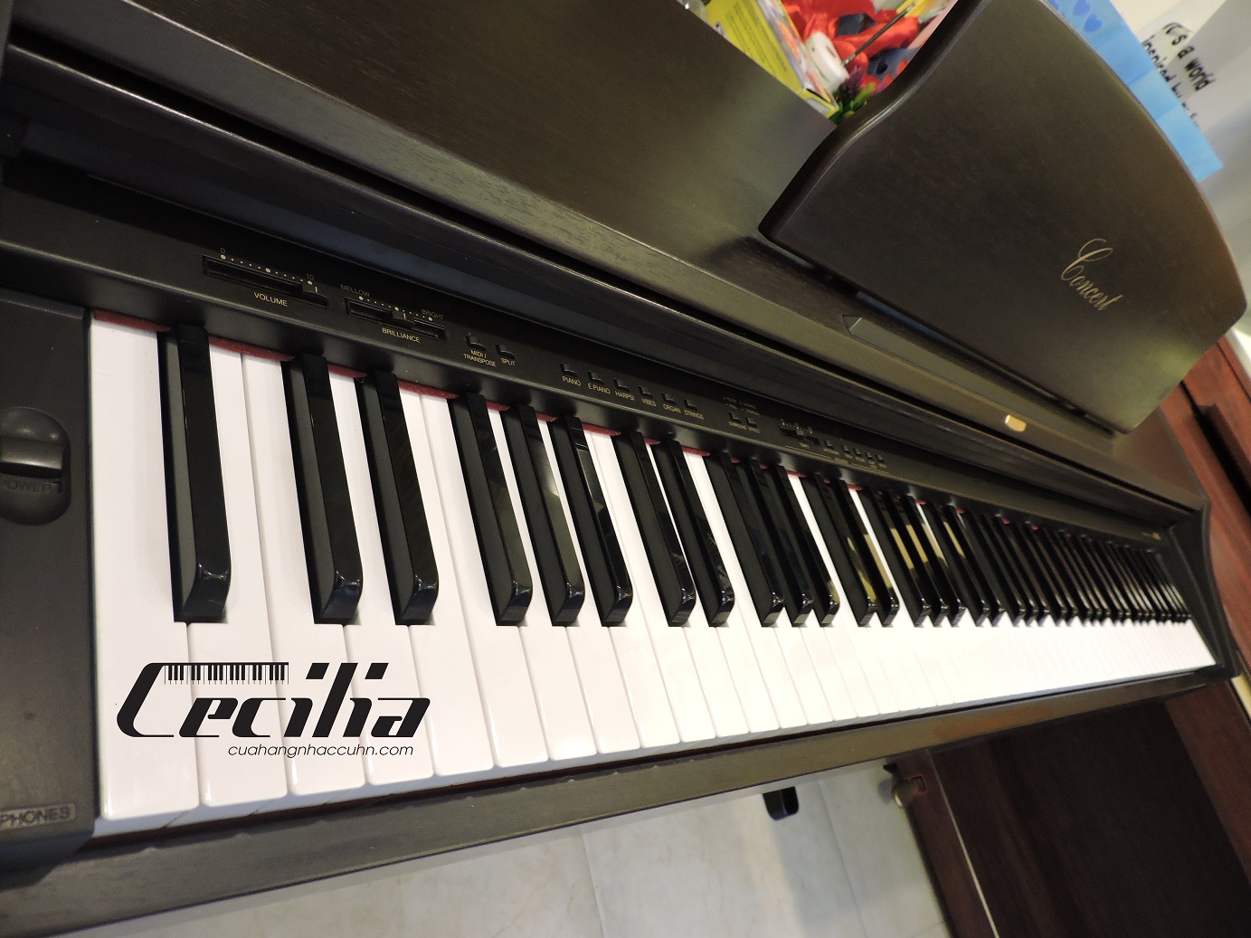 piano_dien_korg_c303_4