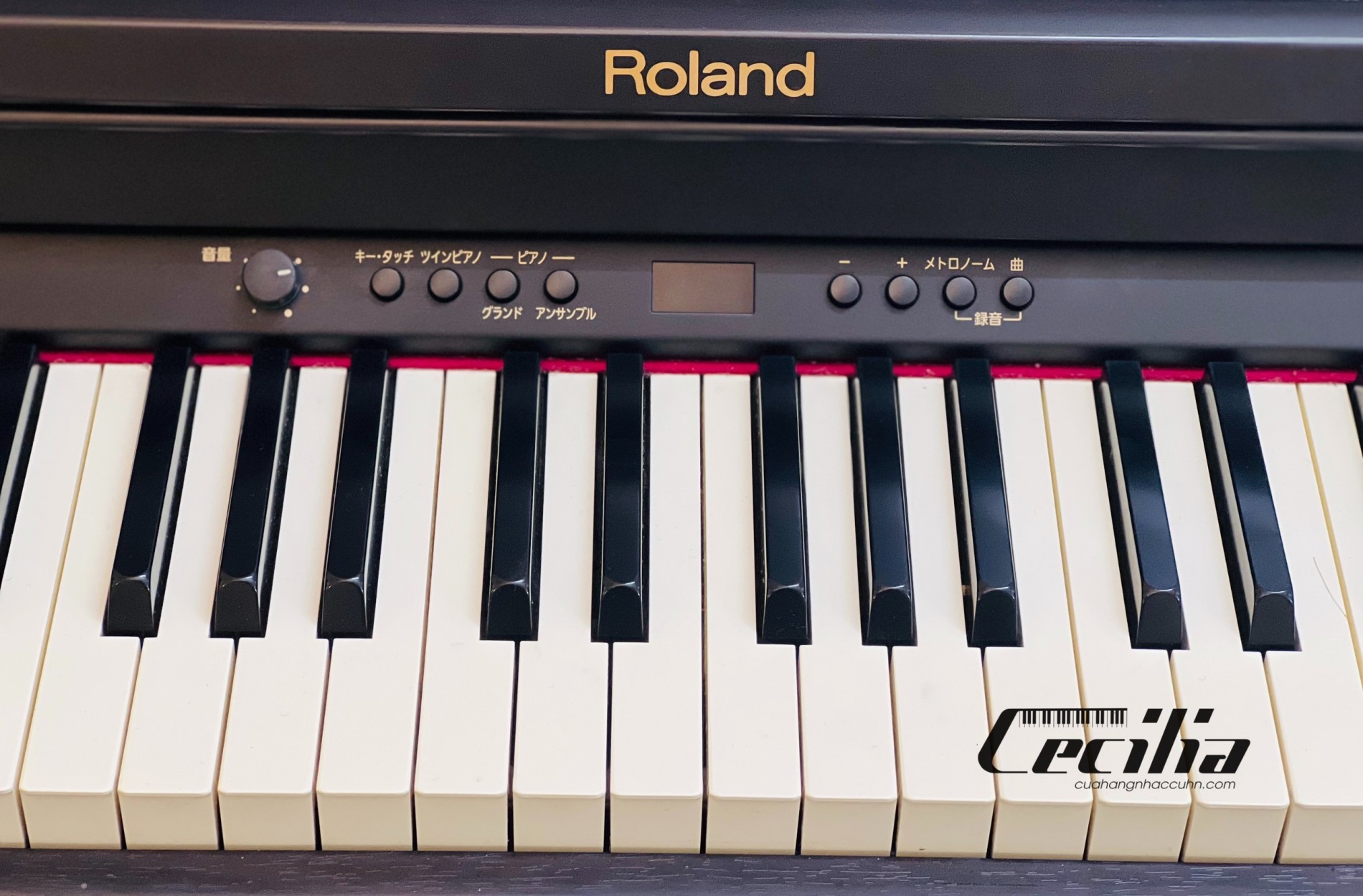 piano_dien_roland_rp301