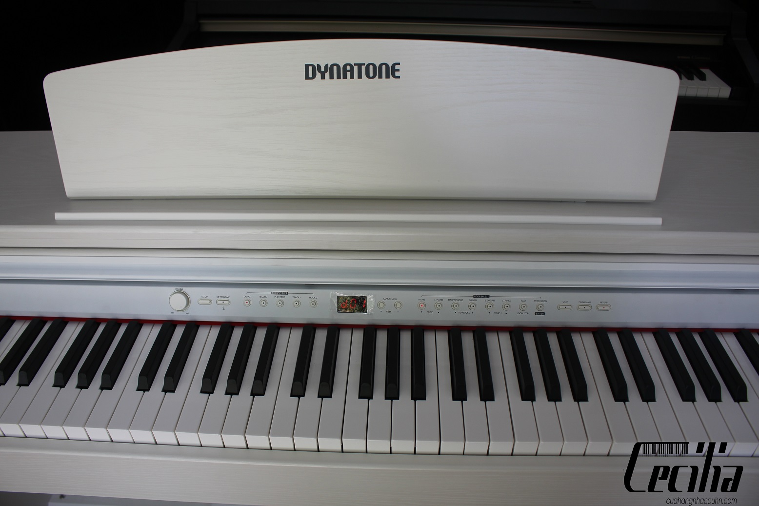 piano_dyanatone_slp50_ha_noi