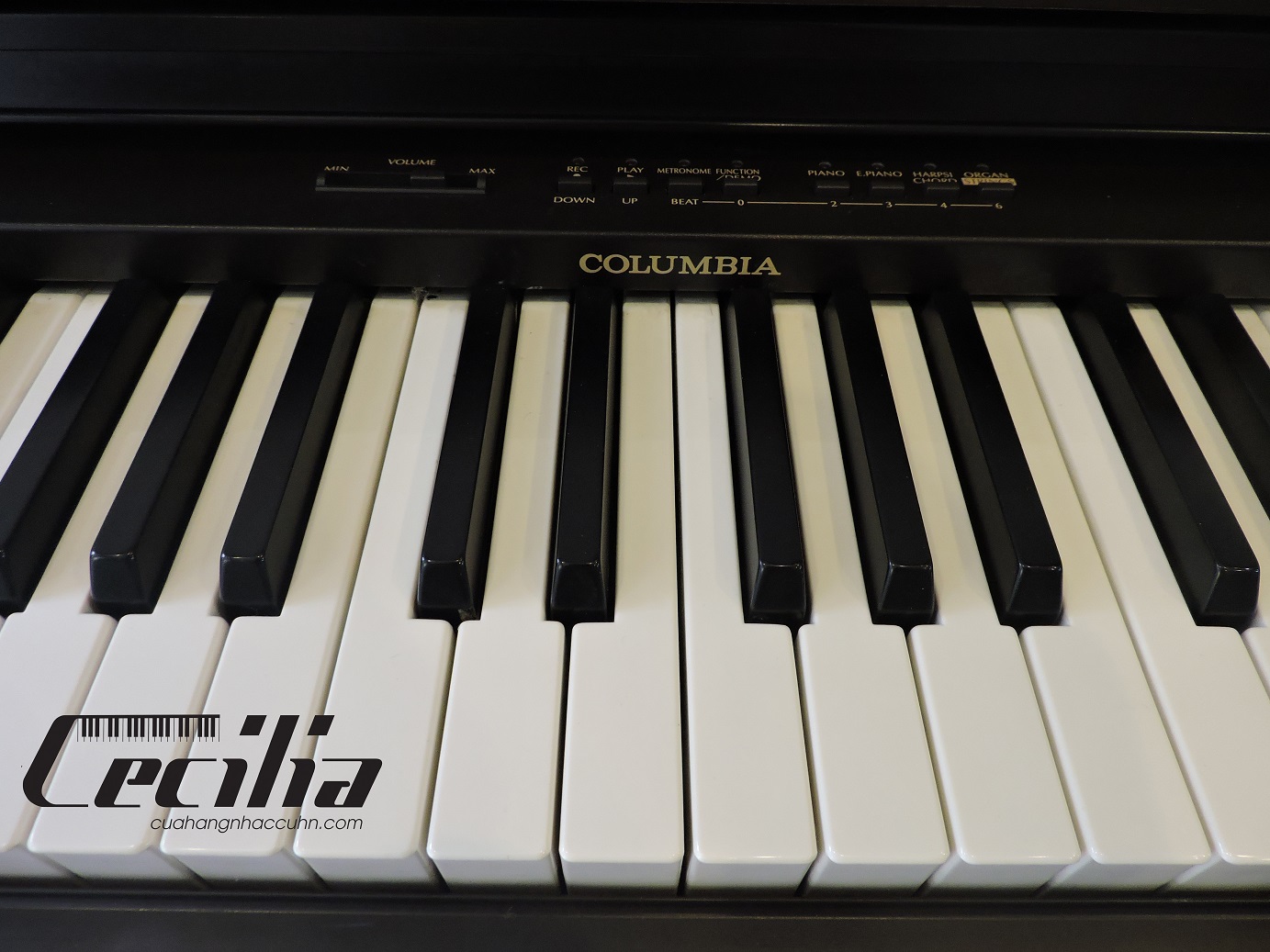 piano_nhat_ban_ep290