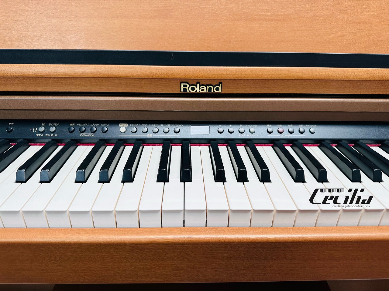 roland-hp103-4