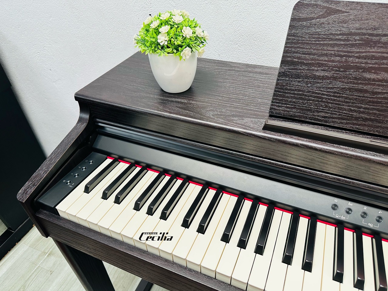 roland-rp701-3