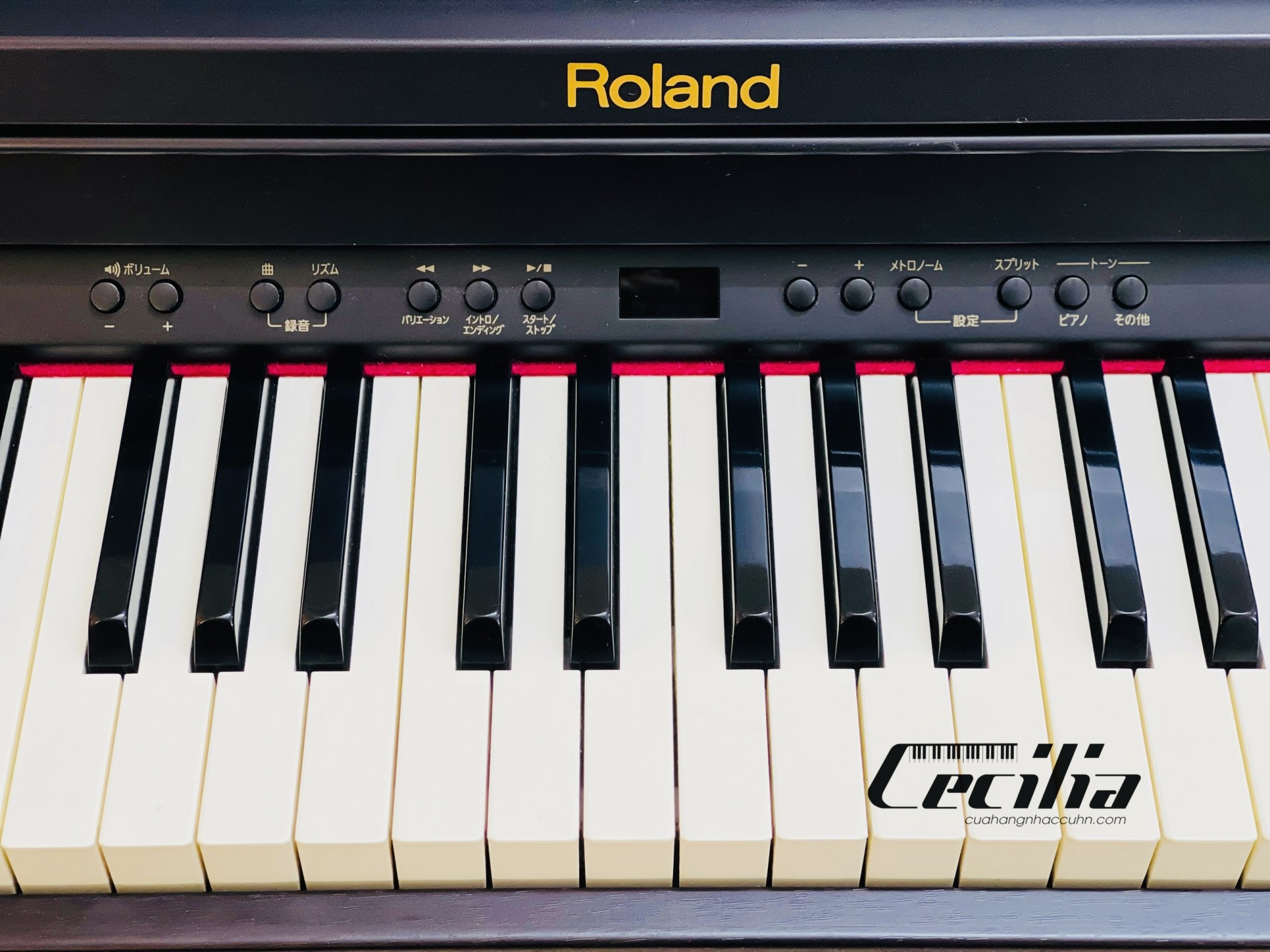 roland_rp401