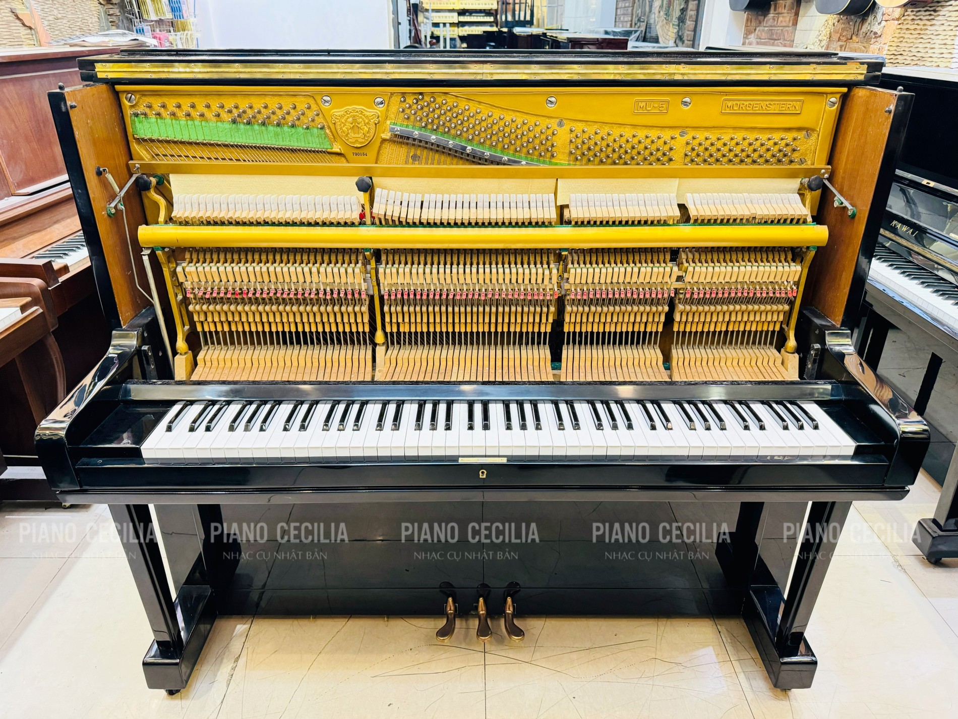 sua_piano_co_tai_hue