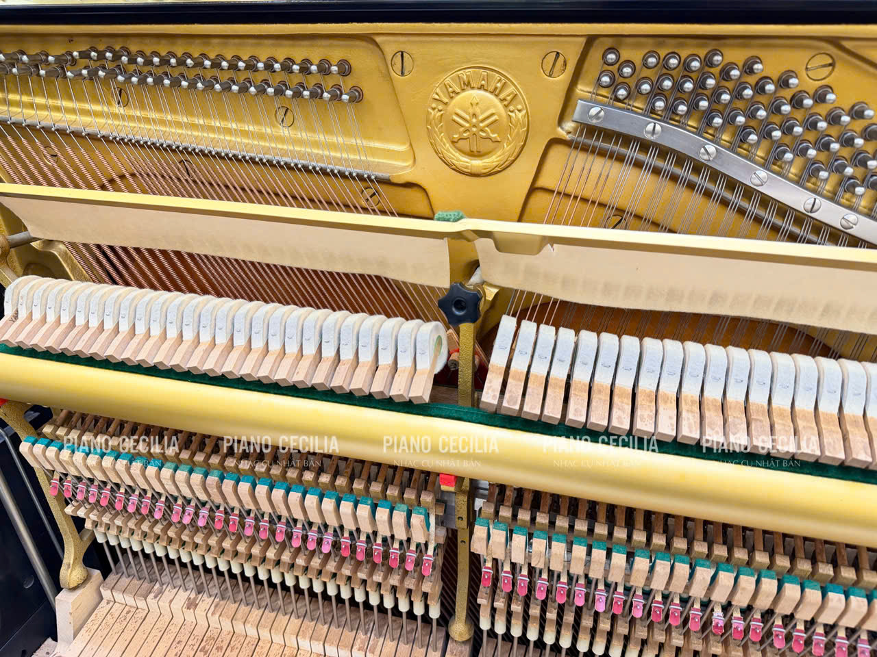 yamaha_ux__3