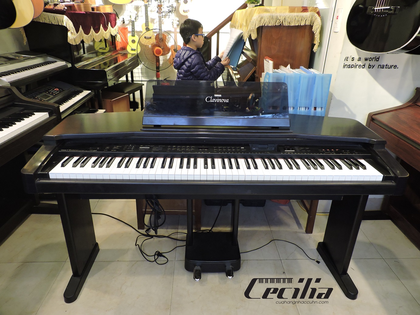 yamahadien