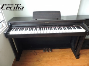 Đàn Piano điện Columbia EP-800 | Giao hàng toàn quốc | Piano điện giá rẻ