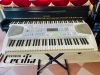 dan-organ-nhat-gia-re-cam-ung-phim - ảnh nhỏ  1