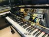 piano-co-kawai-ks1f-thuong-hieu-nhat-noi-tieng - ảnh nhỏ 2
