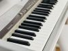 dan-piano-dien-casio-gia-re-5-trieu-piano-nhat-noi-dia - ảnh nhỏ 3