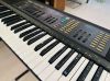 dan-organ-yamaha-nhat-noi-dia-gia-re-organ-nhat-cu - ảnh nhỏ 3