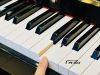 dan-piano-yamaha-dup20pe - ảnh nhỏ 2