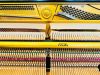 dich-vu-sua-chua-piano-tai-thanh-pho-ho-chi-minh-tphcm - ảnh nhỏ  1