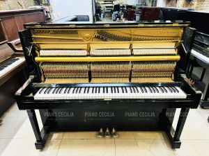 DỊCH VỤ LÊN DÂY PIANO CƠ TẠI THÀNH PHỐ HỒ CHÍ MINH( TPHCM) | LÊN DÂY CHUYÊN NGHIỆP