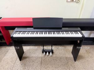 Yamaha P125 – Piano Điện Giá Rẻ Chất Lượng Cao, Kèm Đầy Đủ Phụ Kiện, Bảo Hành 12 Tháng