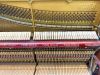 piano-co-rosen-noi-dia-nhat-gia-chi-14-trieu-dep-sang-am-thanh-hay-gia-cuc-tot - ảnh nhỏ 3