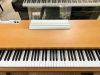 dan-piano-dien-panasonic-sx-np10-thiet-ke-go-sang-trong-du-3-pedal - ảnh nhỏ 2
